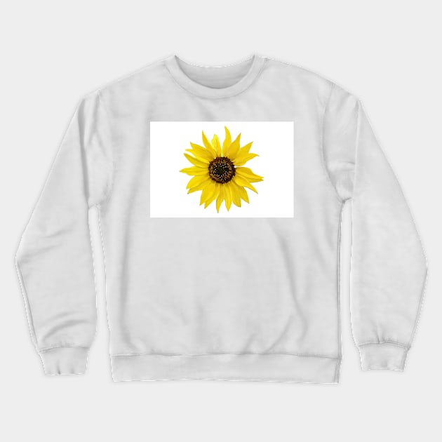 Sunflower Crewneck Sweatshirt by laceylschmidt